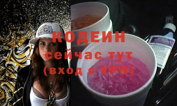 дмт Ельня