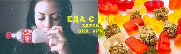 дмт Ельня