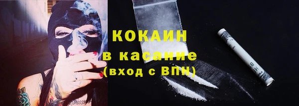 ешки Елизово