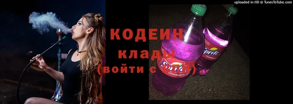 ГАЛЛЮЦИНОГЕННЫЕ ГРИБЫ Елабуга