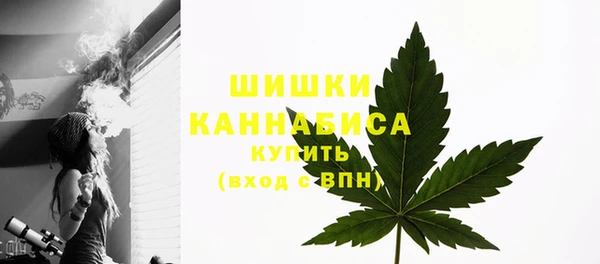ГАЛЛЮЦИНОГЕННЫЕ ГРИБЫ Елабуга