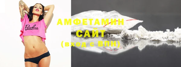 дмт Ельня