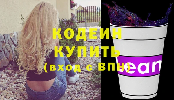 дмт Ельня