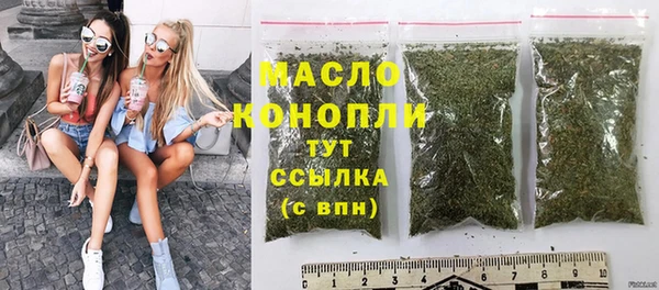 дмт Ельня