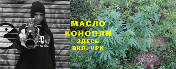 дмт Ельня