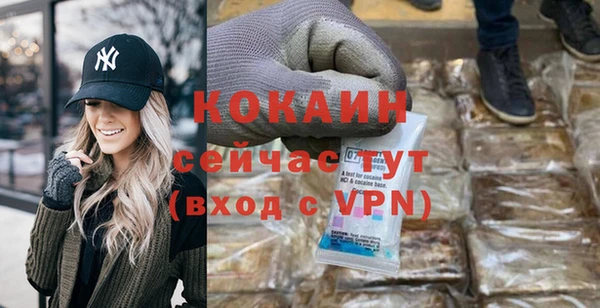 дмт Ельня