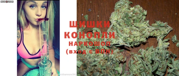 дмт Ельня