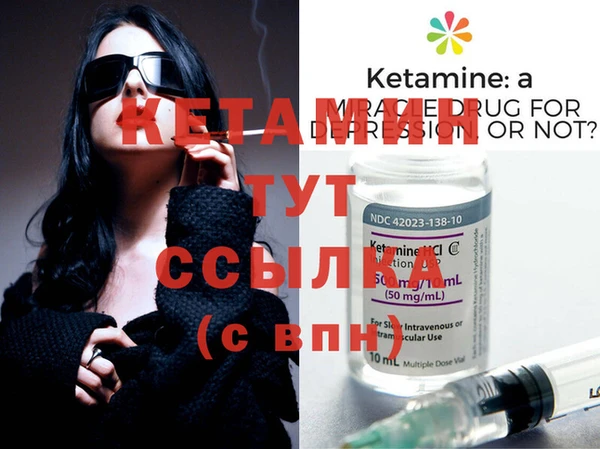 дмт Ельня