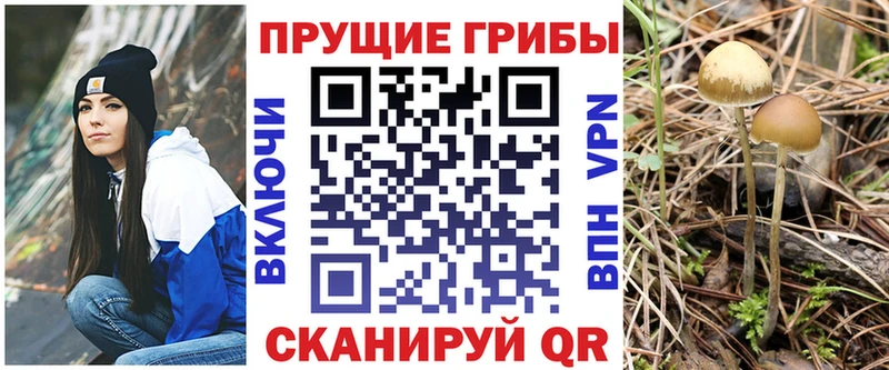 Купить где  Балахна  Псилоцибиновые грибы Magic Shrooms 